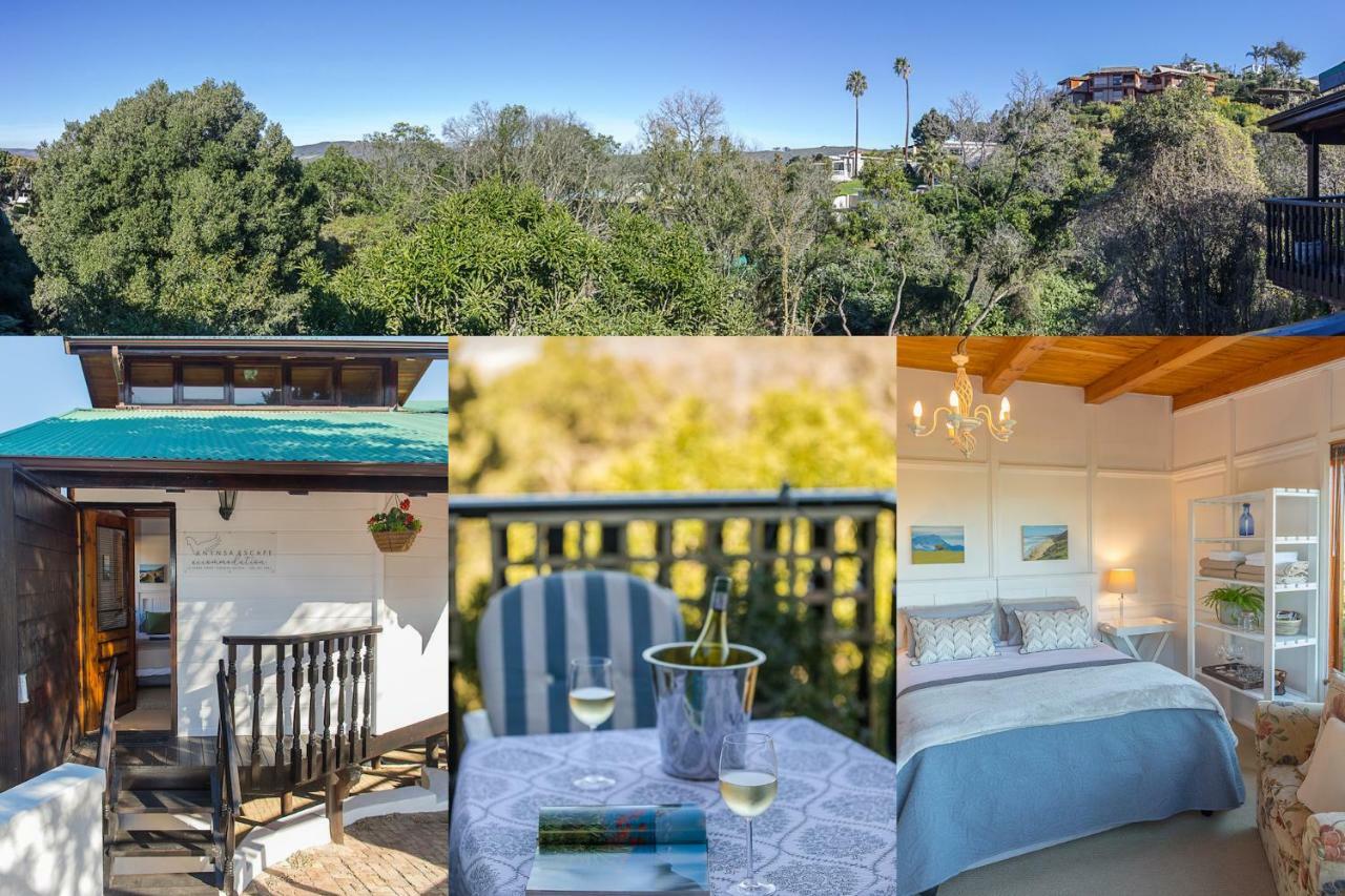 Knysna Escape Accommodation Exterior photo